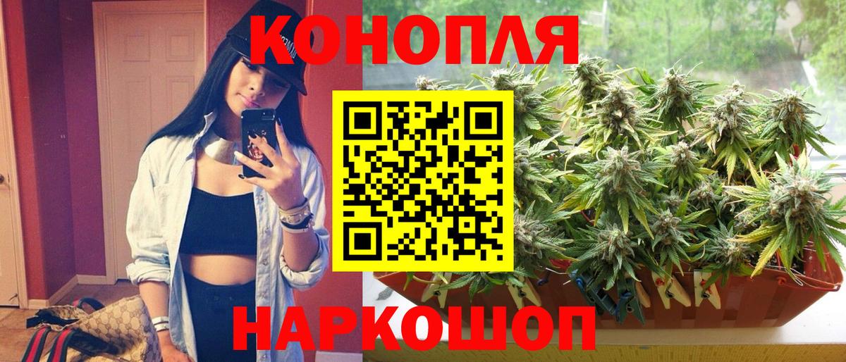 Каннабис сатива Котельники